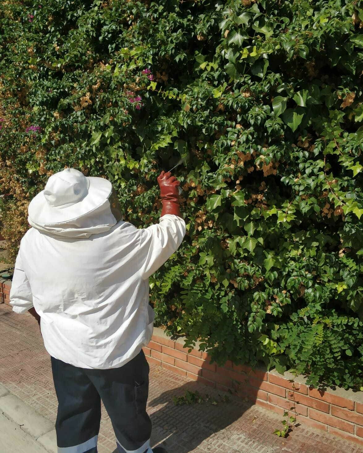 Revisión de jardín